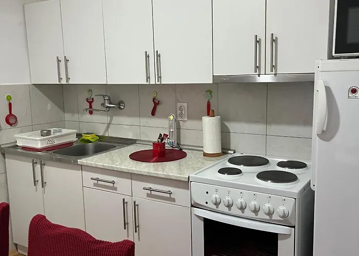 公寓 Cvet 巴伊纳巴什塔