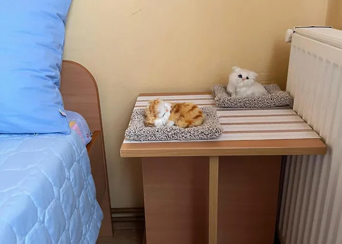 Cvet * 巴伊纳巴什塔